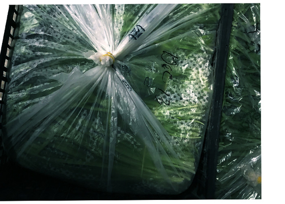 Anti Fog 950mmx650mm Recyclable Reusable Bags Micro Perforated Plastic Bags