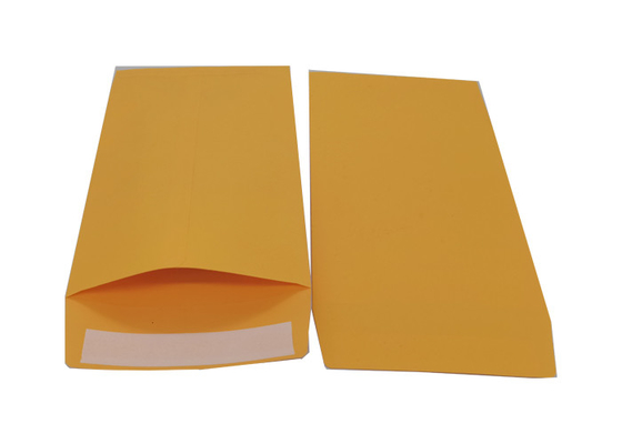 Self Seal Flap 6x9 Inch Kraft Catalog Envelopes 28 pound Golden Brown
