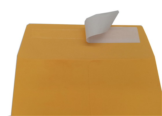 Self Seal Flap 6x9 Inch Kraft Catalog Envelopes 28 pound Golden Brown