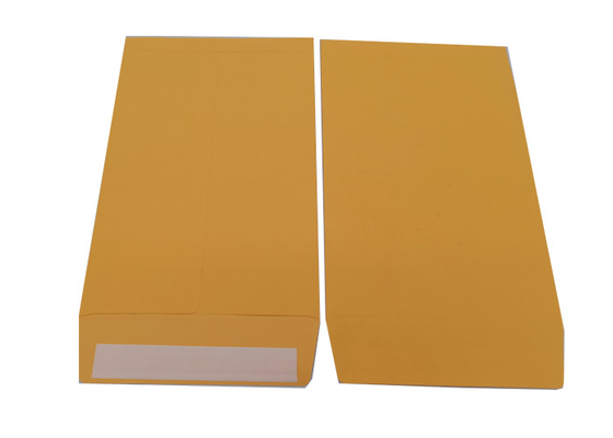 Self Seal Flap 6x9 Inch Kraft Catalog Envelopes 28 pound Golden Brown