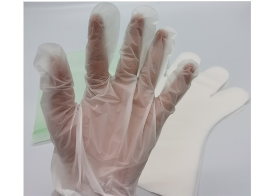ASTM D6400 Compostable Food Prep Gloves BPI Biodegradable Disposable Gloves