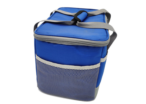 Large Insulated 25 Litre Chilled Food Packaging Collapsible Cooler Bag