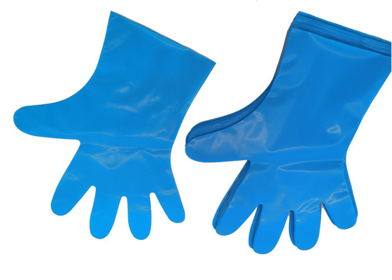 EN13432 PBAT Corn Starch Protective Packaging Compostable Disposable Gloves