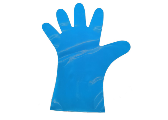 EN13432 PBAT Corn Starch Protective Packaging Compostable Disposable Gloves