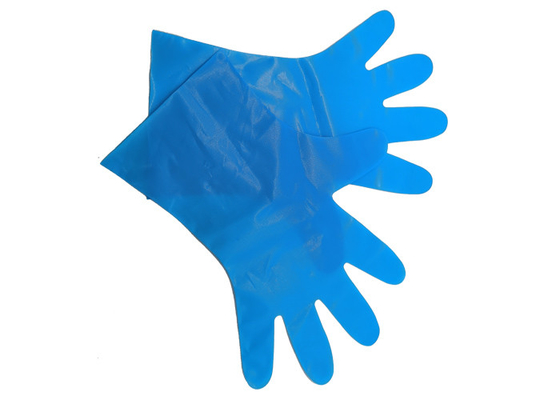 EN13432 PBAT Corn Starch Protective Packaging Compostable Disposable Gloves