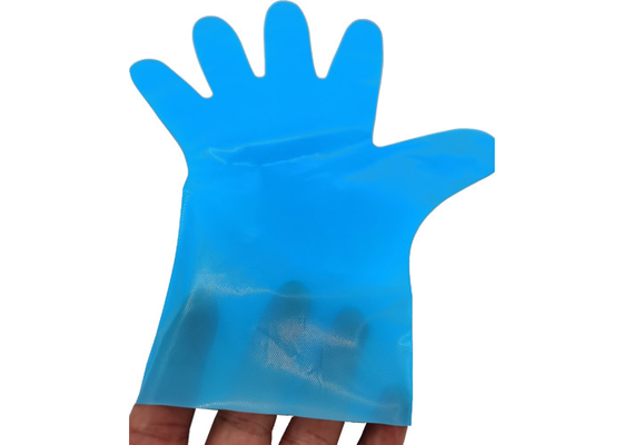 EN13432 PBAT Corn Starch Protective Packaging Compostable Disposable Gloves