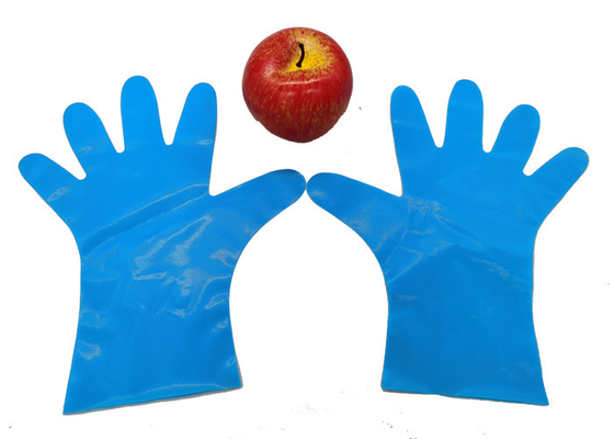 Flexible Puncture-resistant Blue CPE Gloves for Kitchen Food Classification