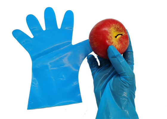 Flexible Puncture-resistant Blue CPE Gloves for Kitchen Food Classification