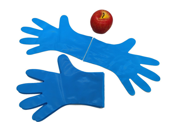 Flexible Puncture-resistant Blue CPE Gloves for Kitchen Food Classification