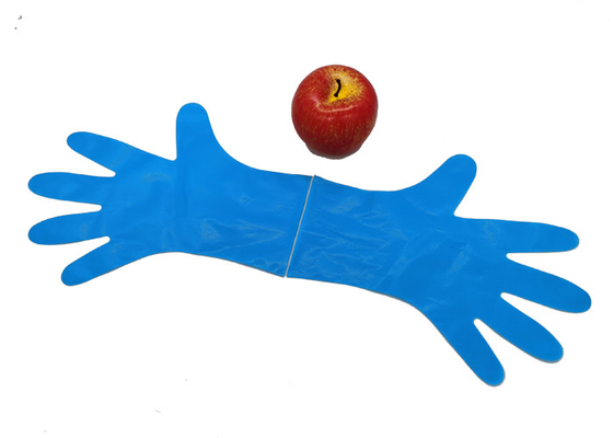Flexible Puncture-resistant Blue CPE Gloves for Kitchen Food Classification