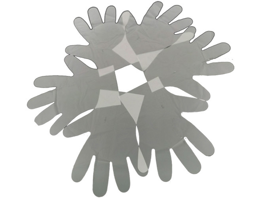 BPI Certified Plastic Free Packaging 100% Biodegradable Corn Starch Gloves