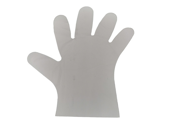 Powder Free 3.75 Inch Compostable Single Use Gloves for Food Prep
