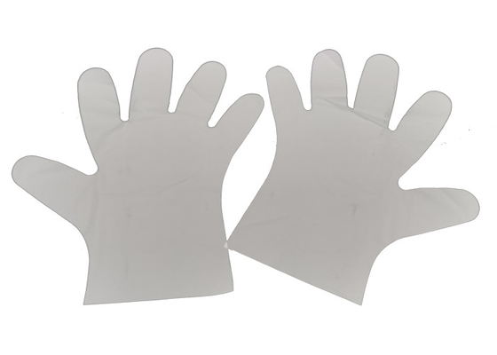 Powder Free 3.75 Inch Compostable Single Use Gloves for Food Prep