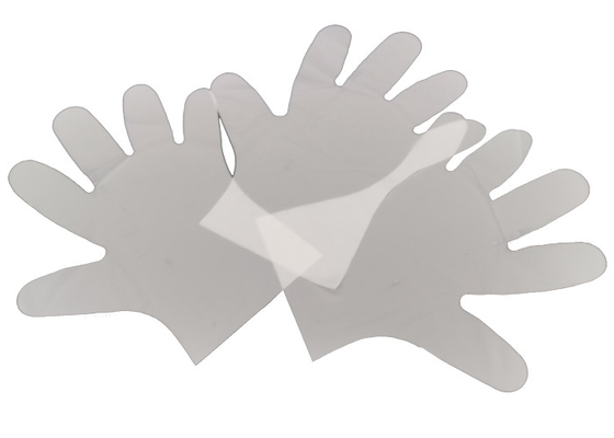 Powder Free 3.75 Inch Compostable Single Use Gloves for Food Prep