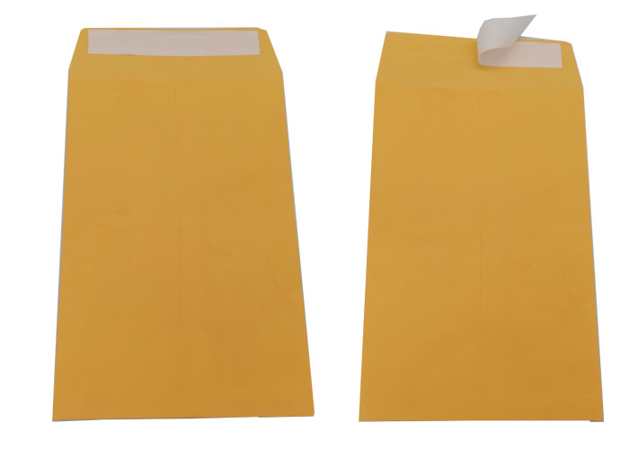 Self Seal Flap 6x9 Inch Kraft Catalog Envelopes 28 pound Golden Brown